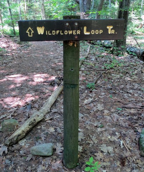 3. RSP Wildflower Sign