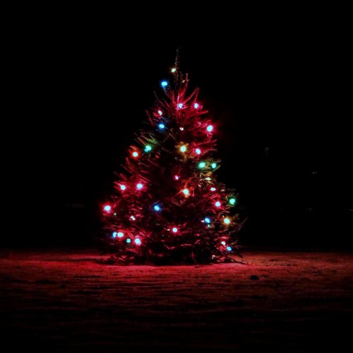 Christmas Tree 2-3