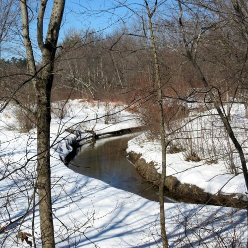 7. Ash Swamp Brook in Winter