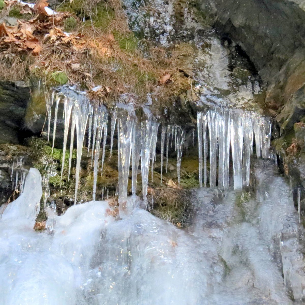 6-icicles